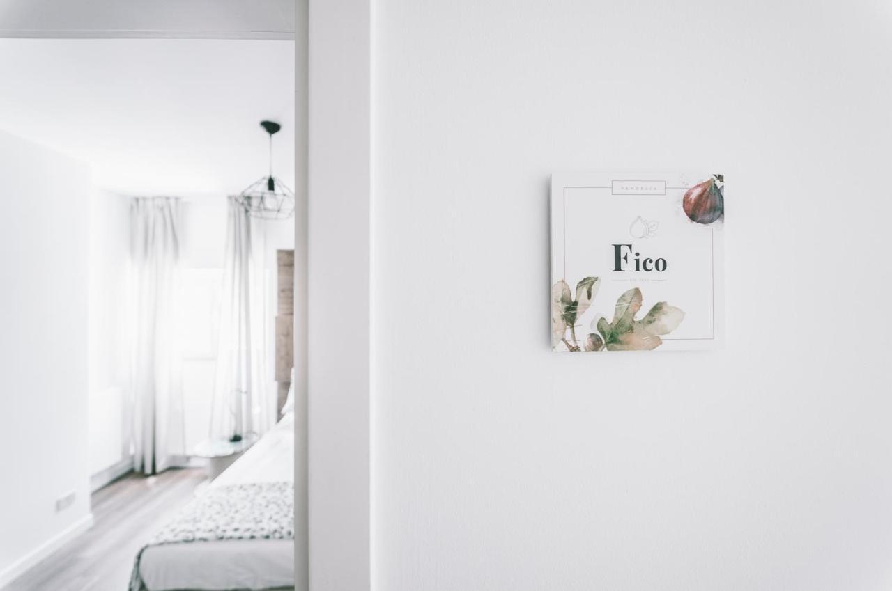 Vandelia B&B 몰페타 외부 사진